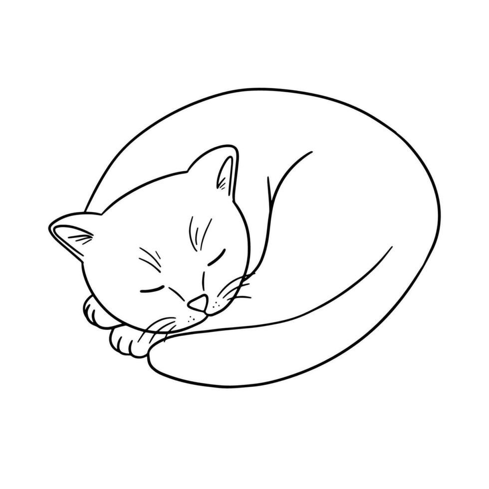 Outline cute cat sleeping. Animal line sketch isolated on white 35583609 Vector Art at Vecteezy