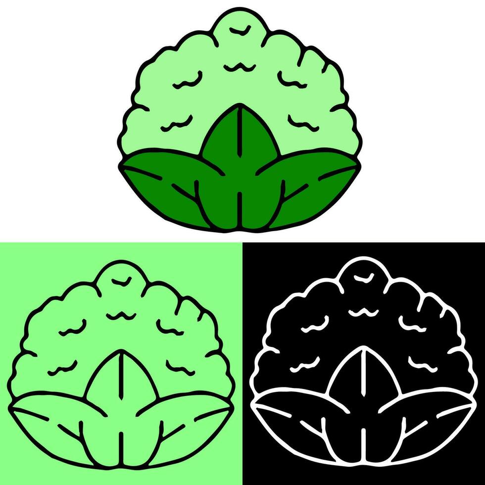 coliflor vegetal ilustración, mano dibujado describir, esta ilustración lata ser usado para iconos, logotipos, y símbolos, vector en plano diseño estilo