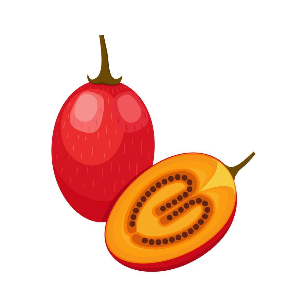 Tamarillo set design with isolated whole and cut tropical fruit tree tomato. Exotic vegan food in flat detailed vector style for packaging, designs, decorative elements