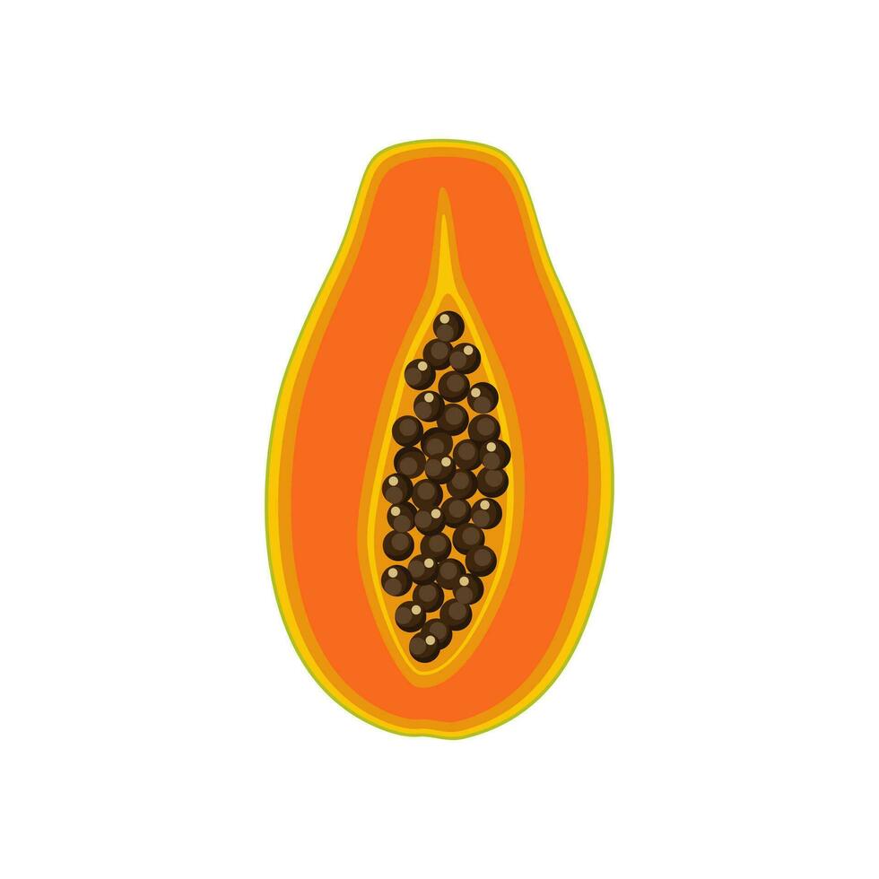 Papaya design with isolated halves of sweet tropical fruit. Exotic vegan food in flat detailed vector style for packaging, designs, decorative elements
