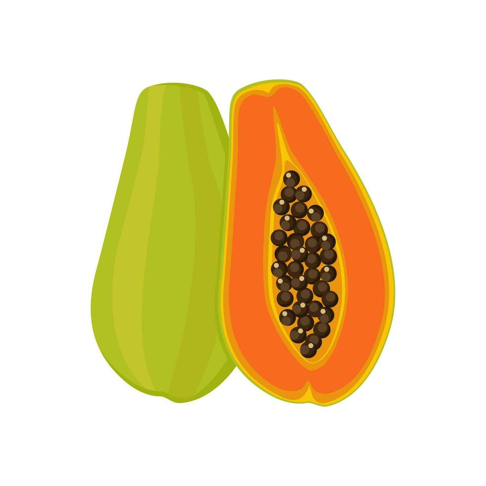 Papaya set design with isolated halves of sweet tropical fruit. Exotic vegan food in flat detailed vector style for packaging, designs, decorative elements