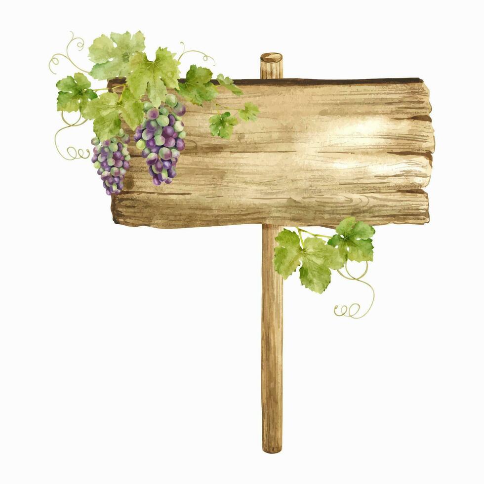Wooden signboards for grape plantations, vineyards. Wood board with bunches of grapes and leaves. Signboard with grapevine. Isolated watercolor illustrations. For postcards, marketing, invitations. vector