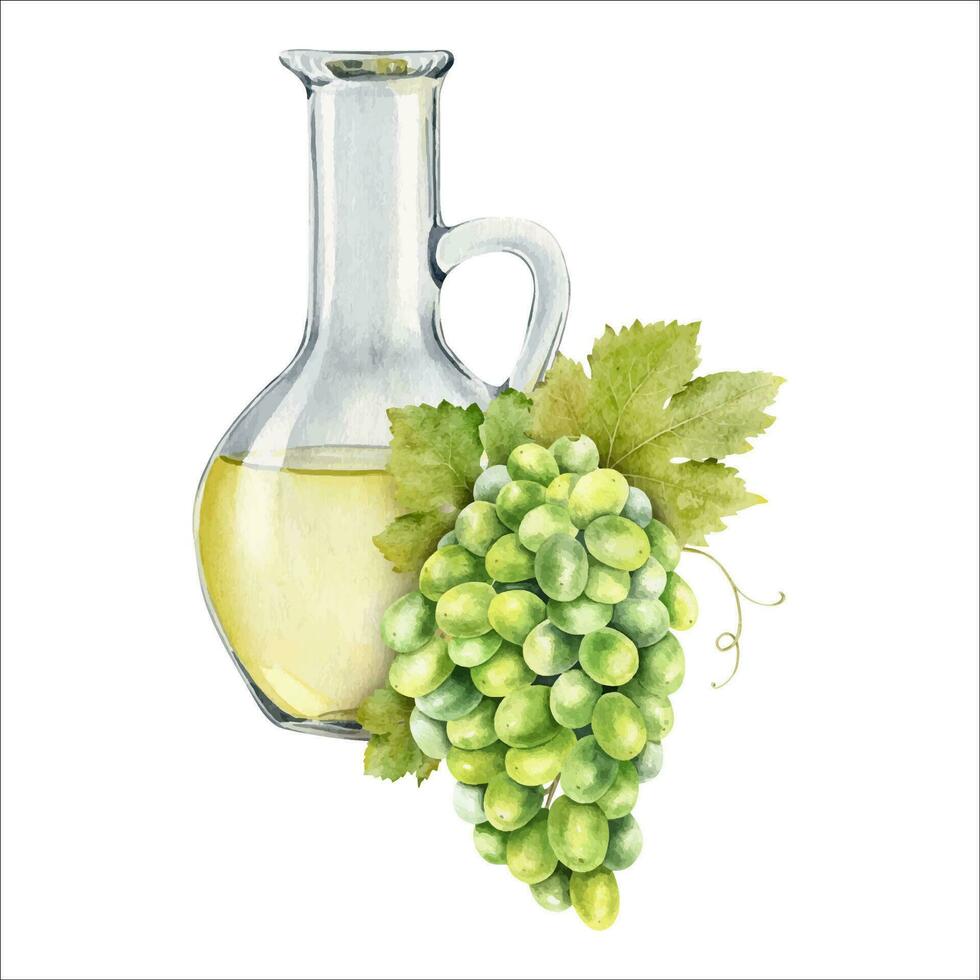 Jug with grape seed oil. A decanter with grape juice. Natural vegetable oil. Grape seed oil in glass bottle. Isolated watercolor illustration. For the design of labels of wine, grape juice, cosmetics. vector