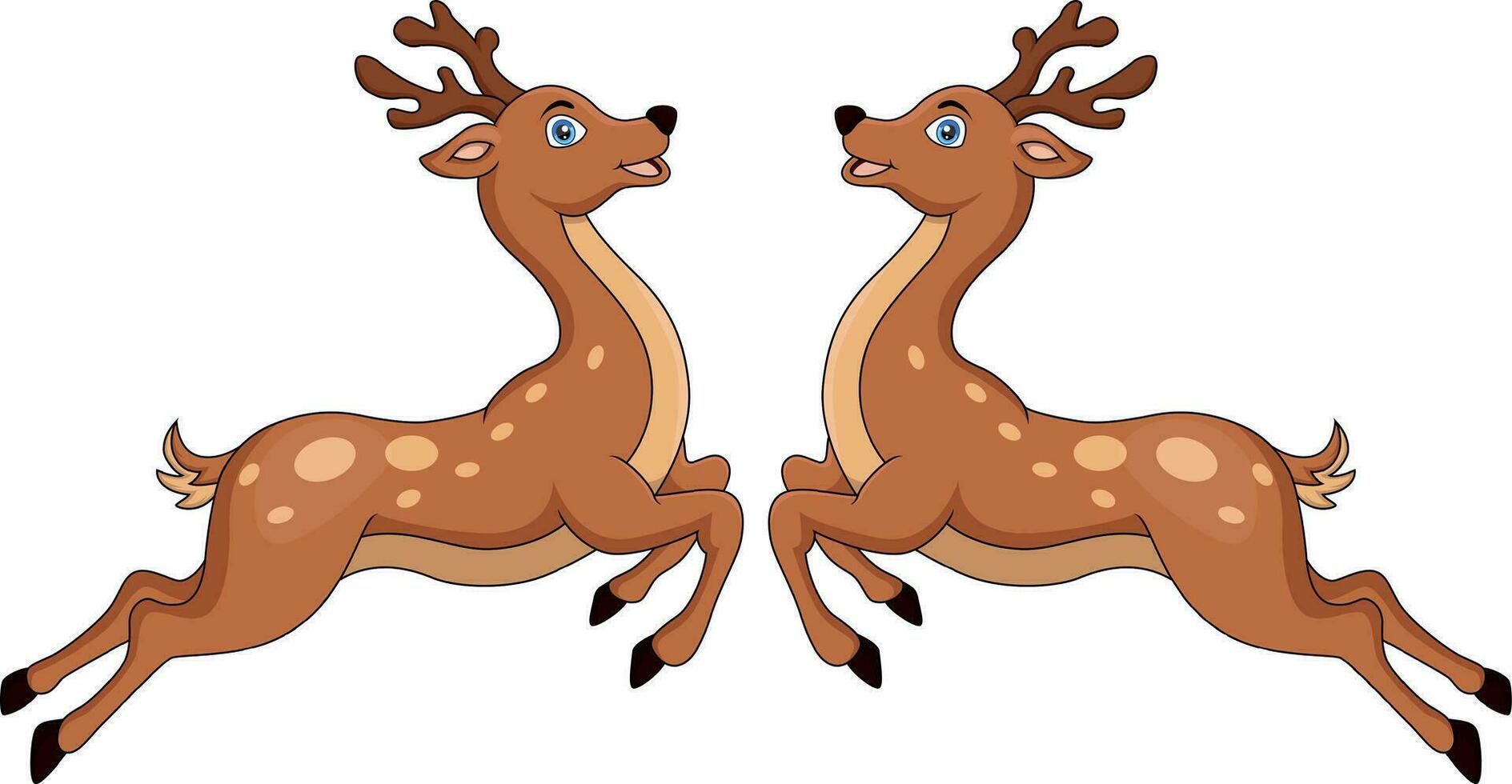Cute two deers cartoon on white background vector
