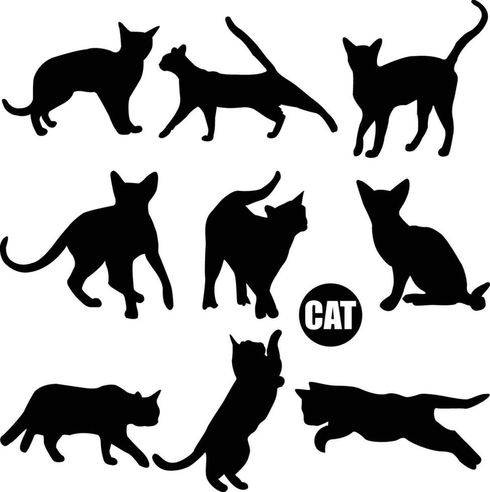 cat Vector silhouette animal silhouetteblack vector