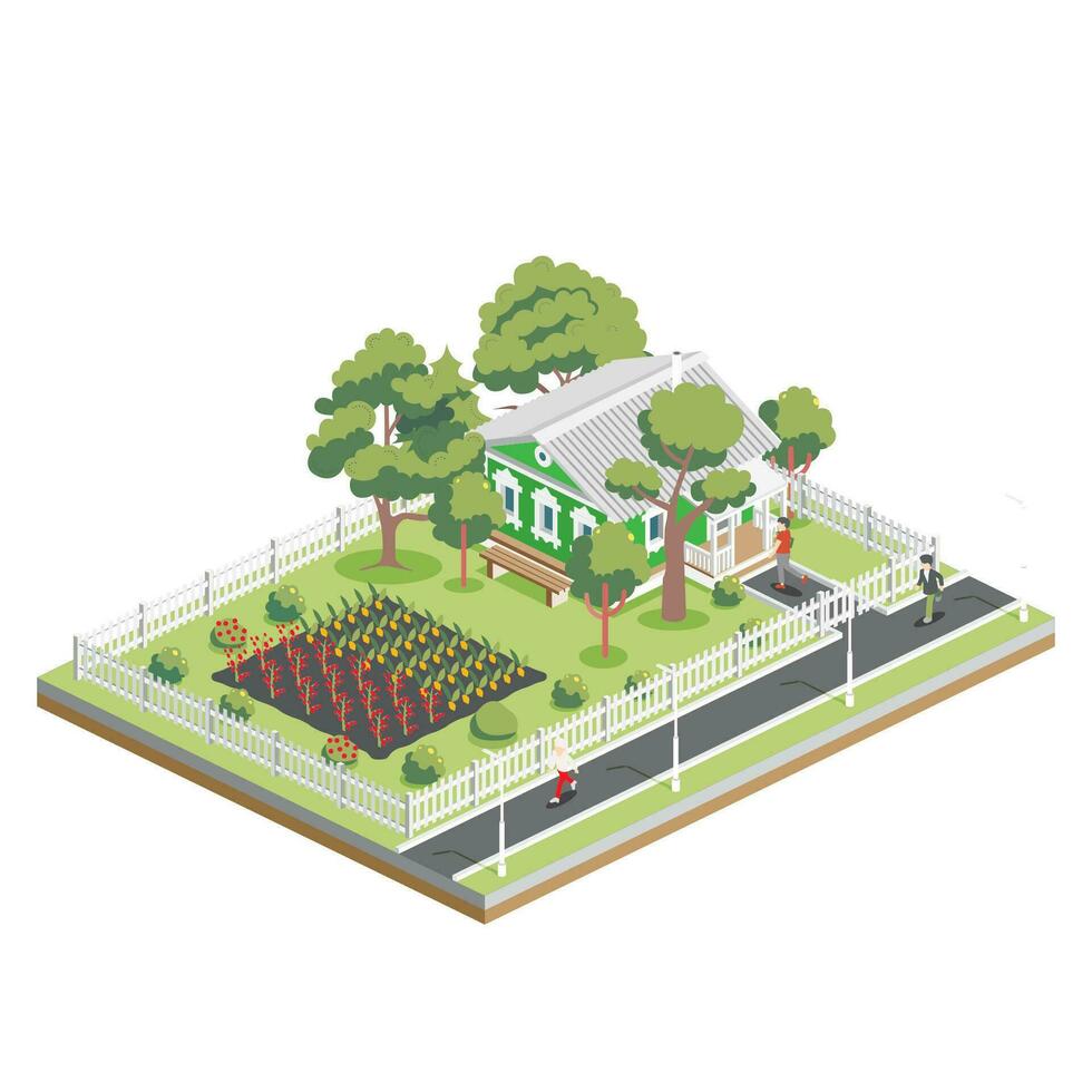 Isometric old house with trees and vegetable garden beds in suburb. Infographic element. Farm isolated on white background. Ecological natural organic agriculture. Growing plants. vector