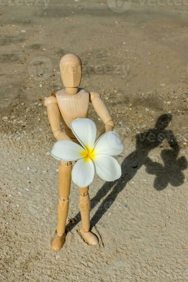 de madera modelos dar un flor en el playa. foto
