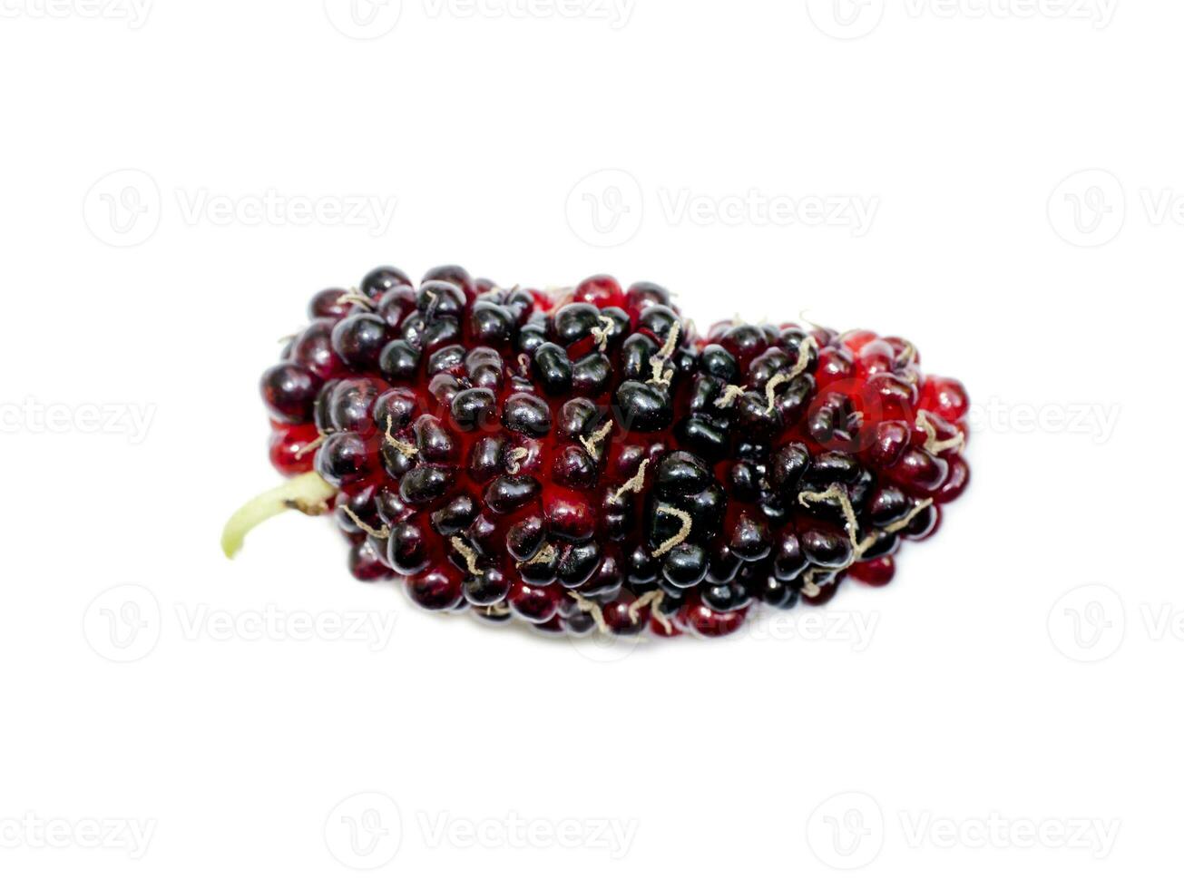 fresh organic mulberry photo