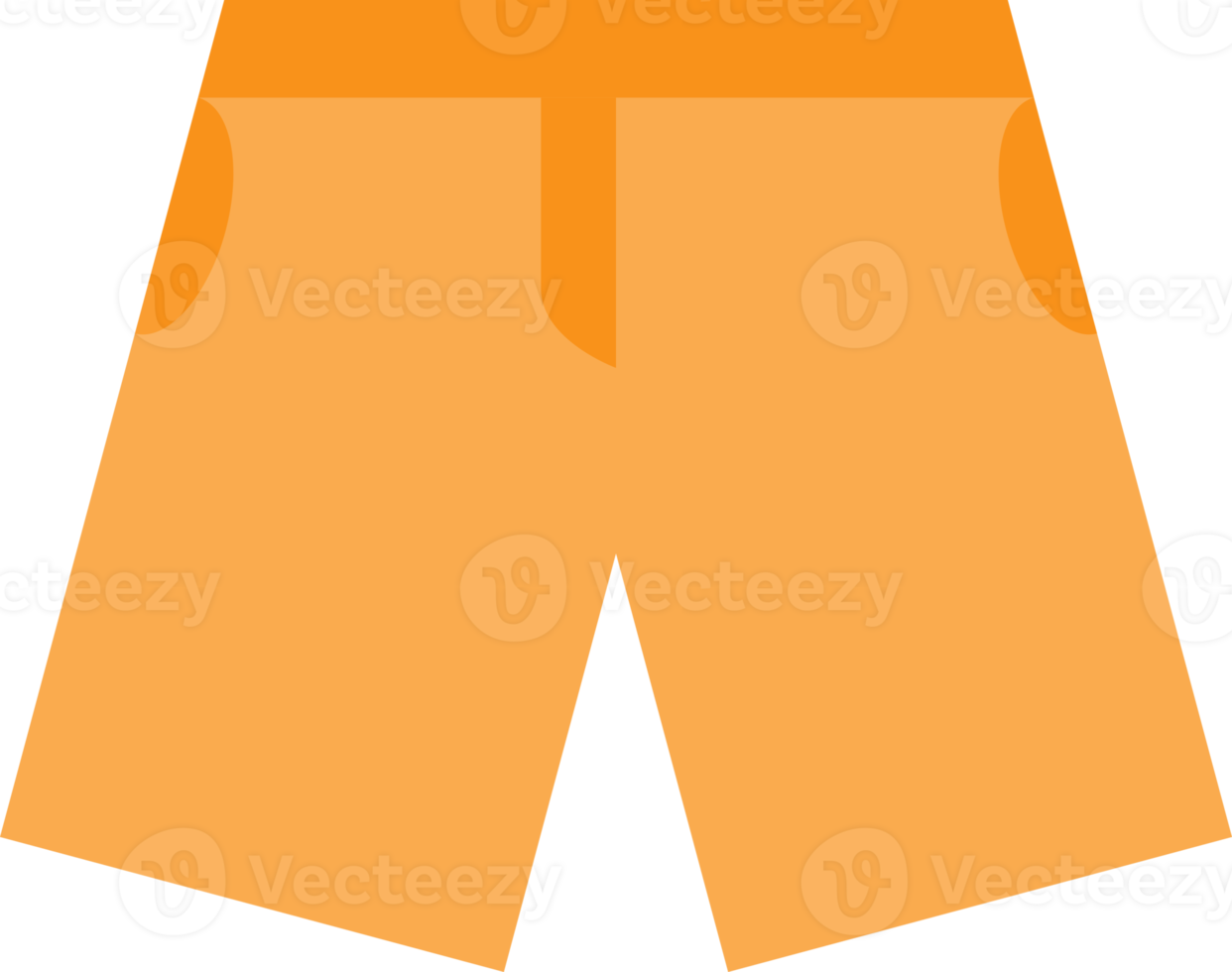 Pants short icon png