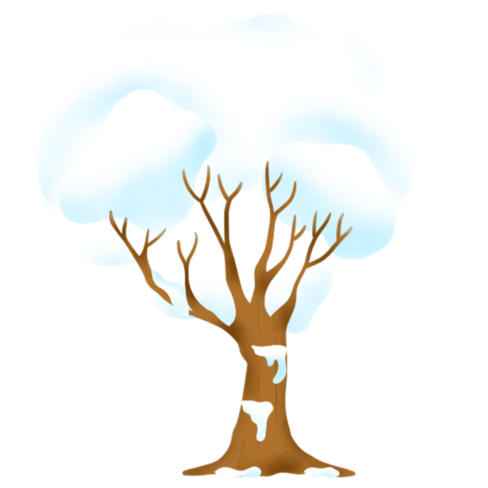 neige arbre pendant hiver png