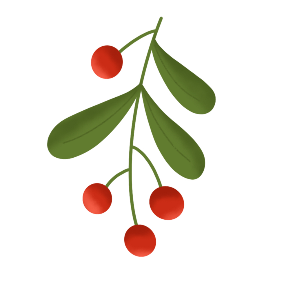 cute cherry for christmas png
