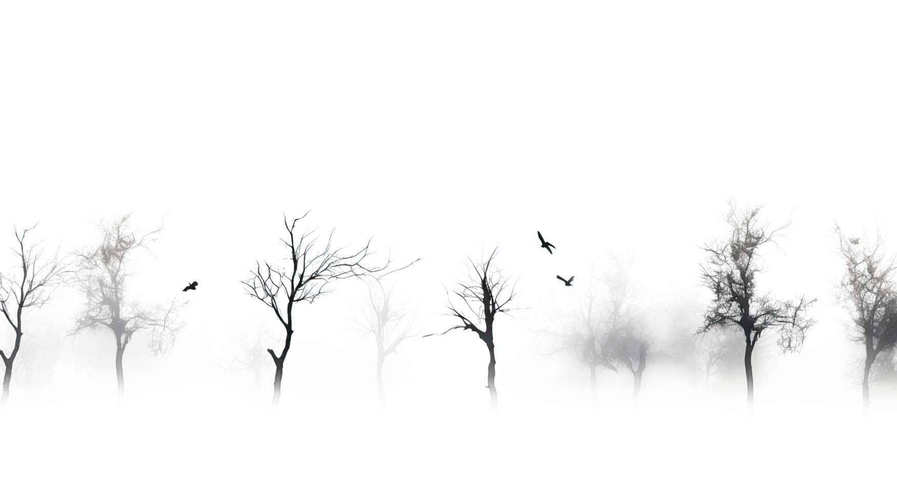 AI generated Spooky fog overlays isolated on transparent background. png