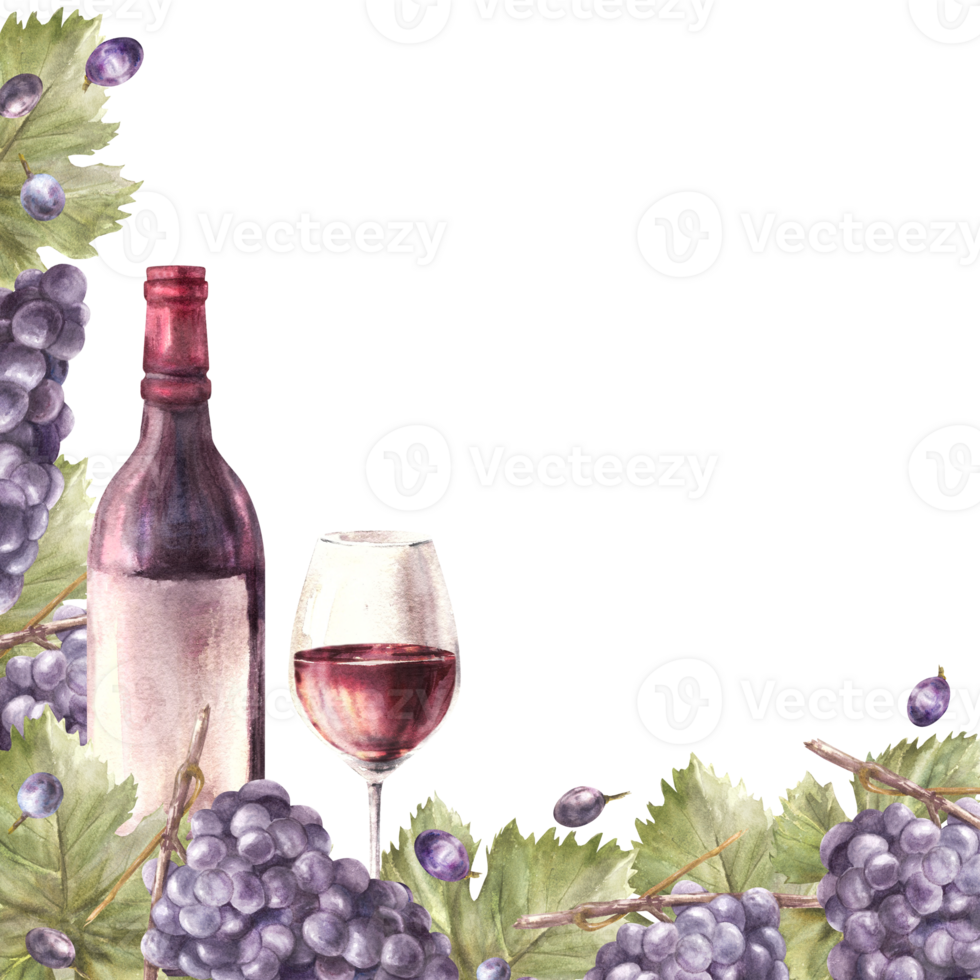Watercolor square frame bunch of blue grapes, leaves and berry with bottle and glass red wine. Grapevine label hand painted illustration template for card, wine list, menu background png