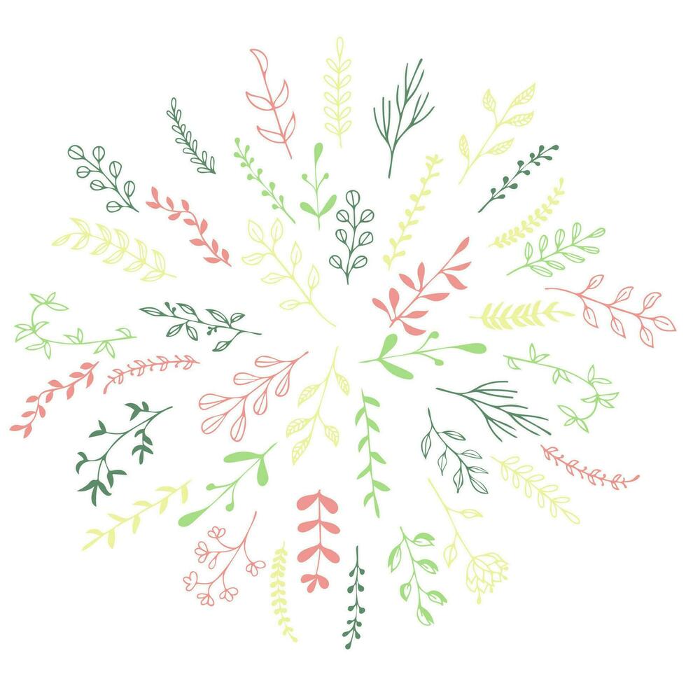 Hand drawn vector round frame. Floral wreath with leaves, berries, branches Decorative elements for design.