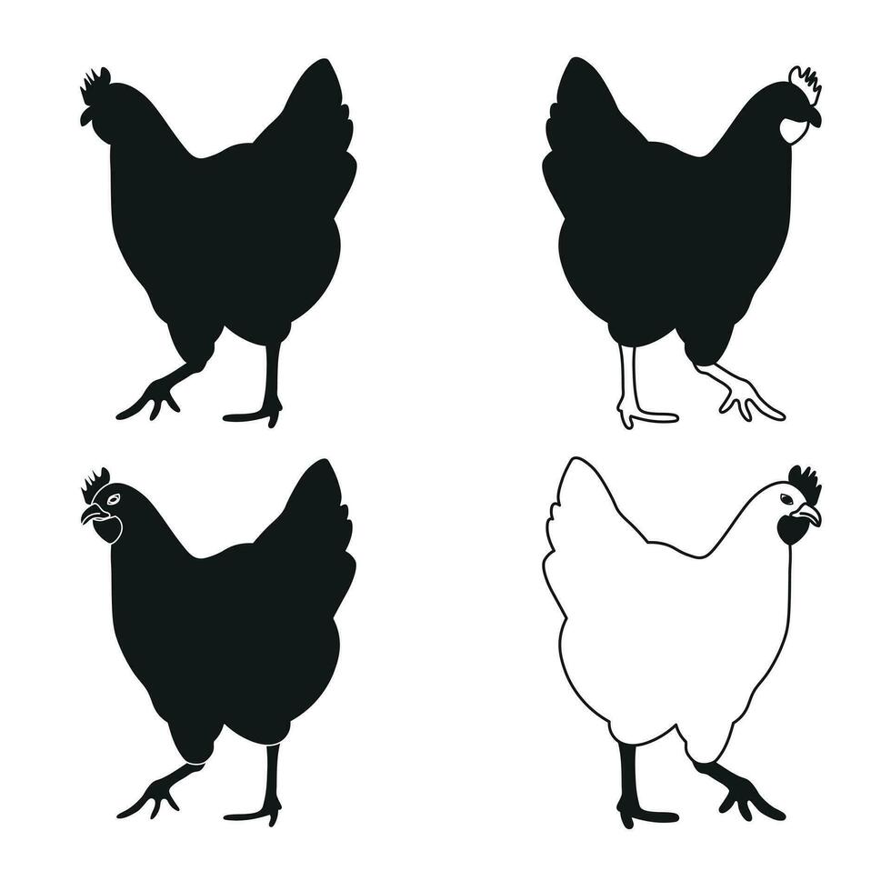 gallo joven, gallo, pollo, gallina, polluelo, posición de pie, aves de corral silueta mano dibujado vector