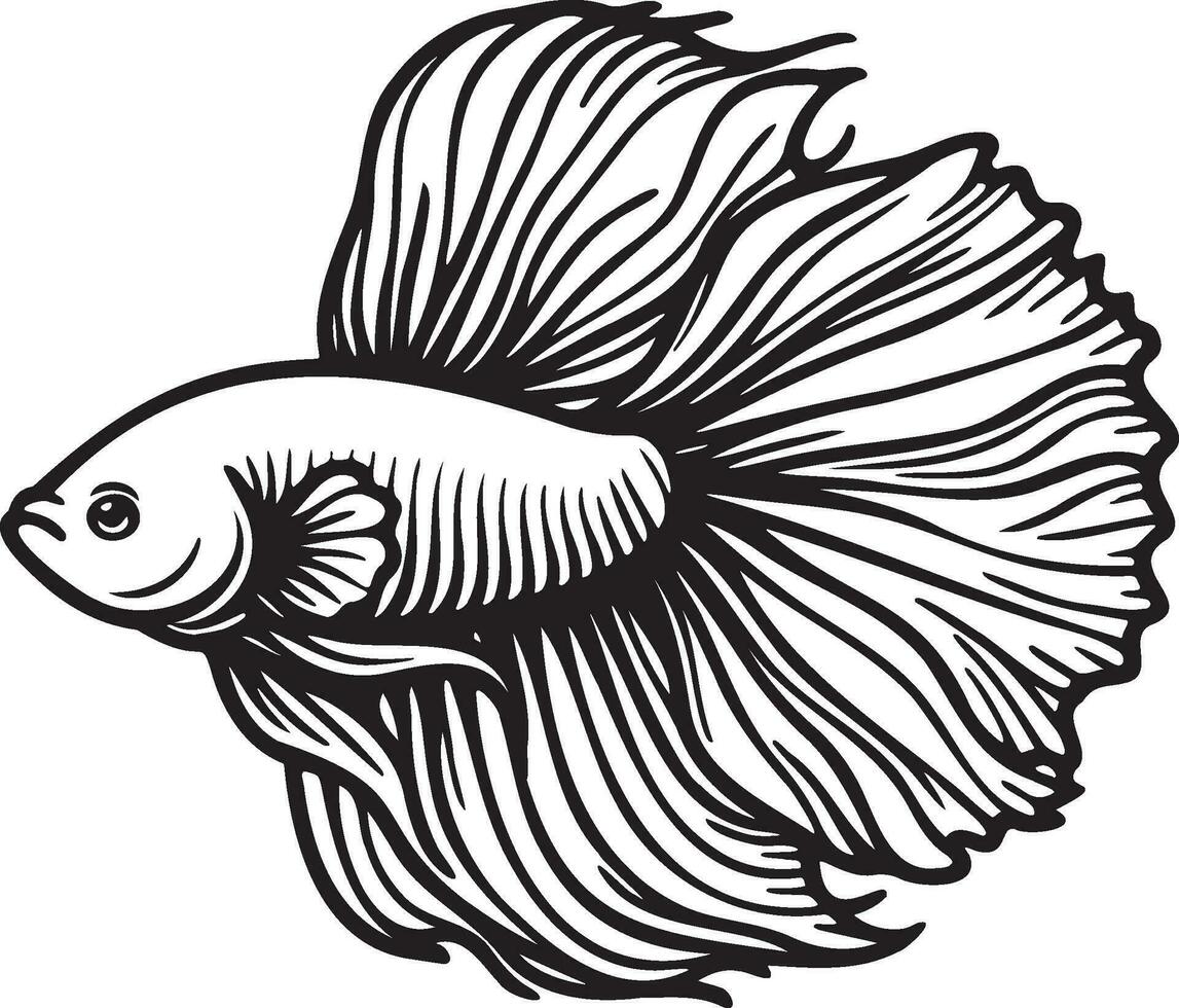 Betta splendens pescado bosquejo dibujo. vector