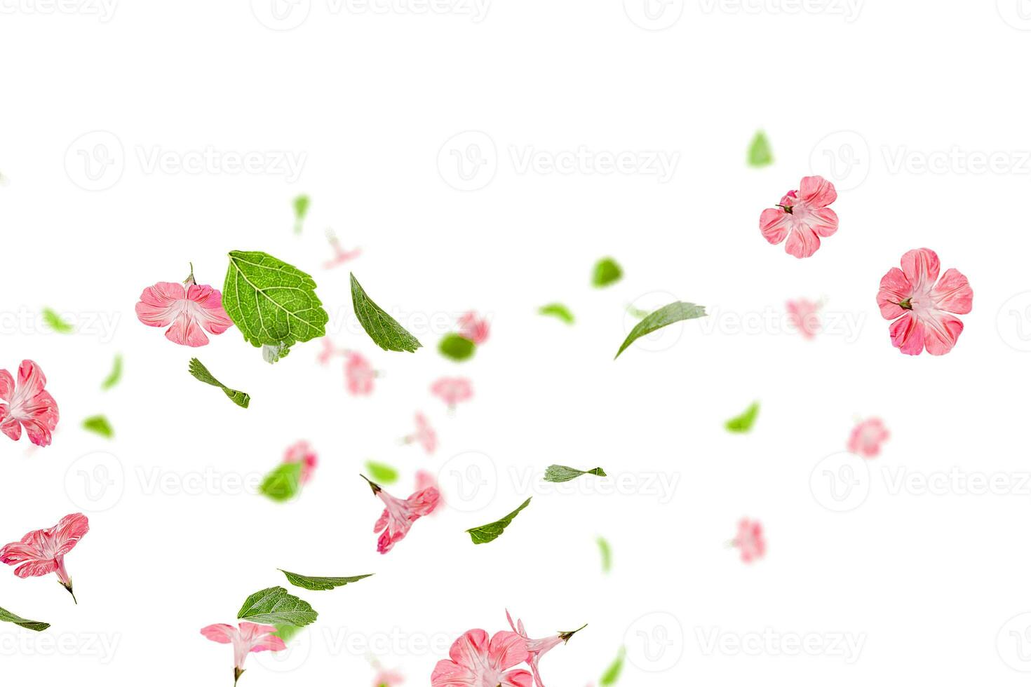 Fresh green leaves with pink flowers flying background photo