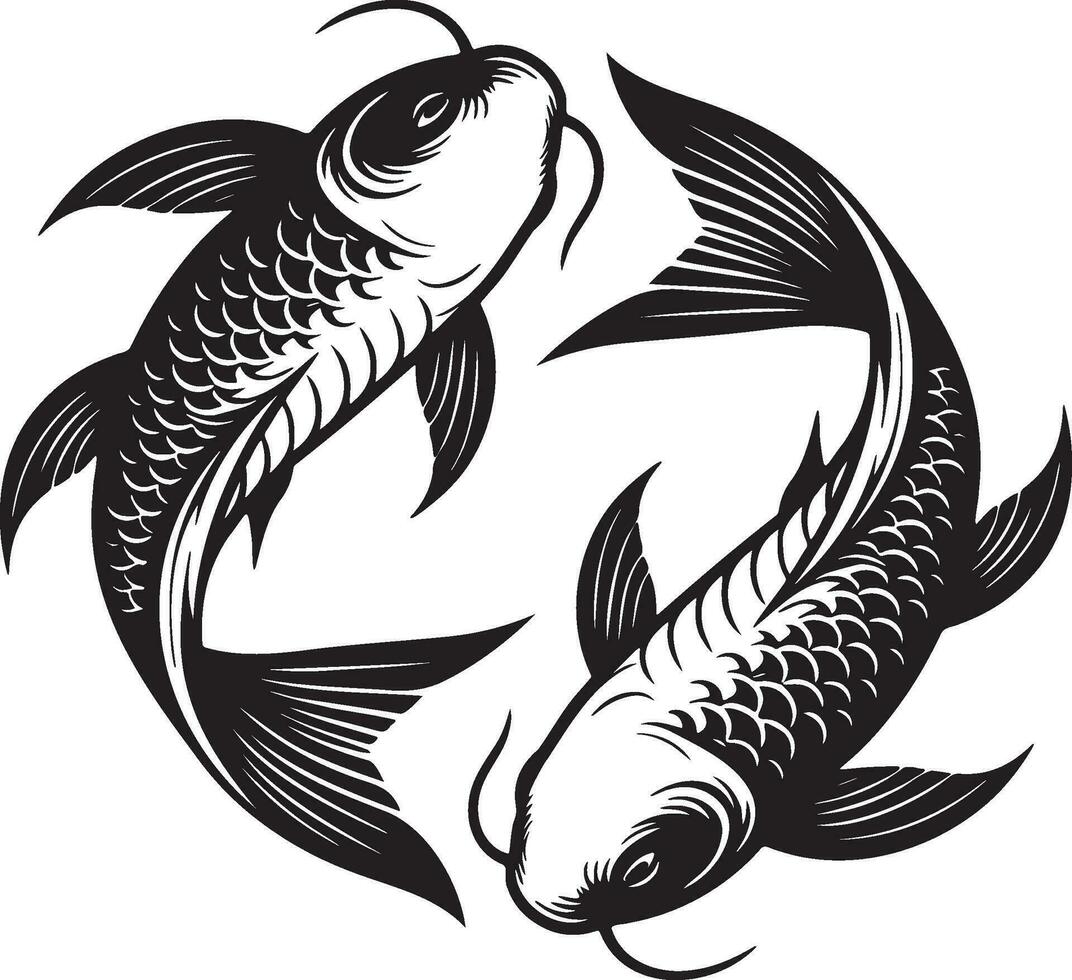Koi Fish Sketch Drawing. vector