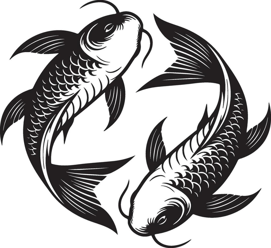 Koi Fish Sketch Drawing. vector