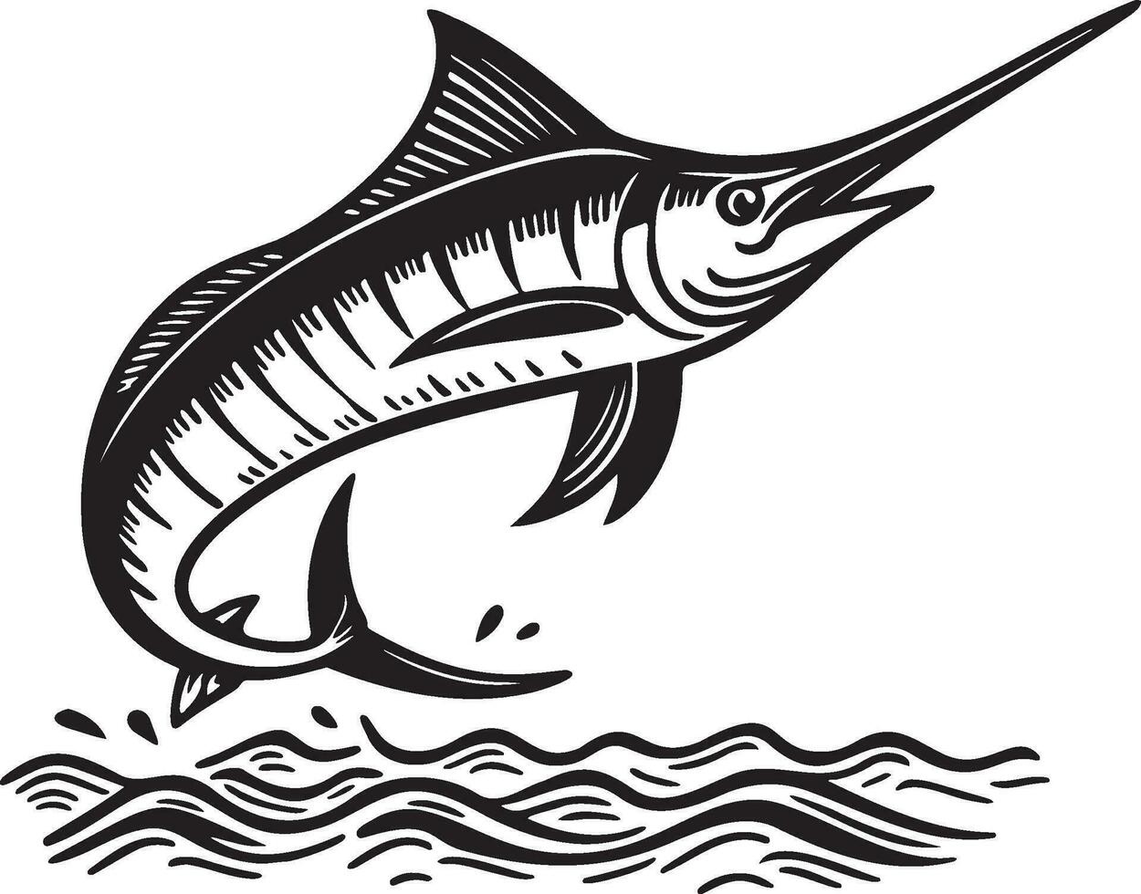 Marlin Fish Sketch Drawing. vector
