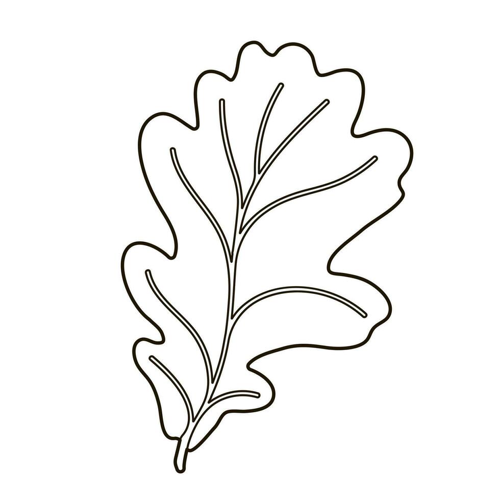 Vector image silhouette of a realistic shape of oak leave. Seasonal decorative background