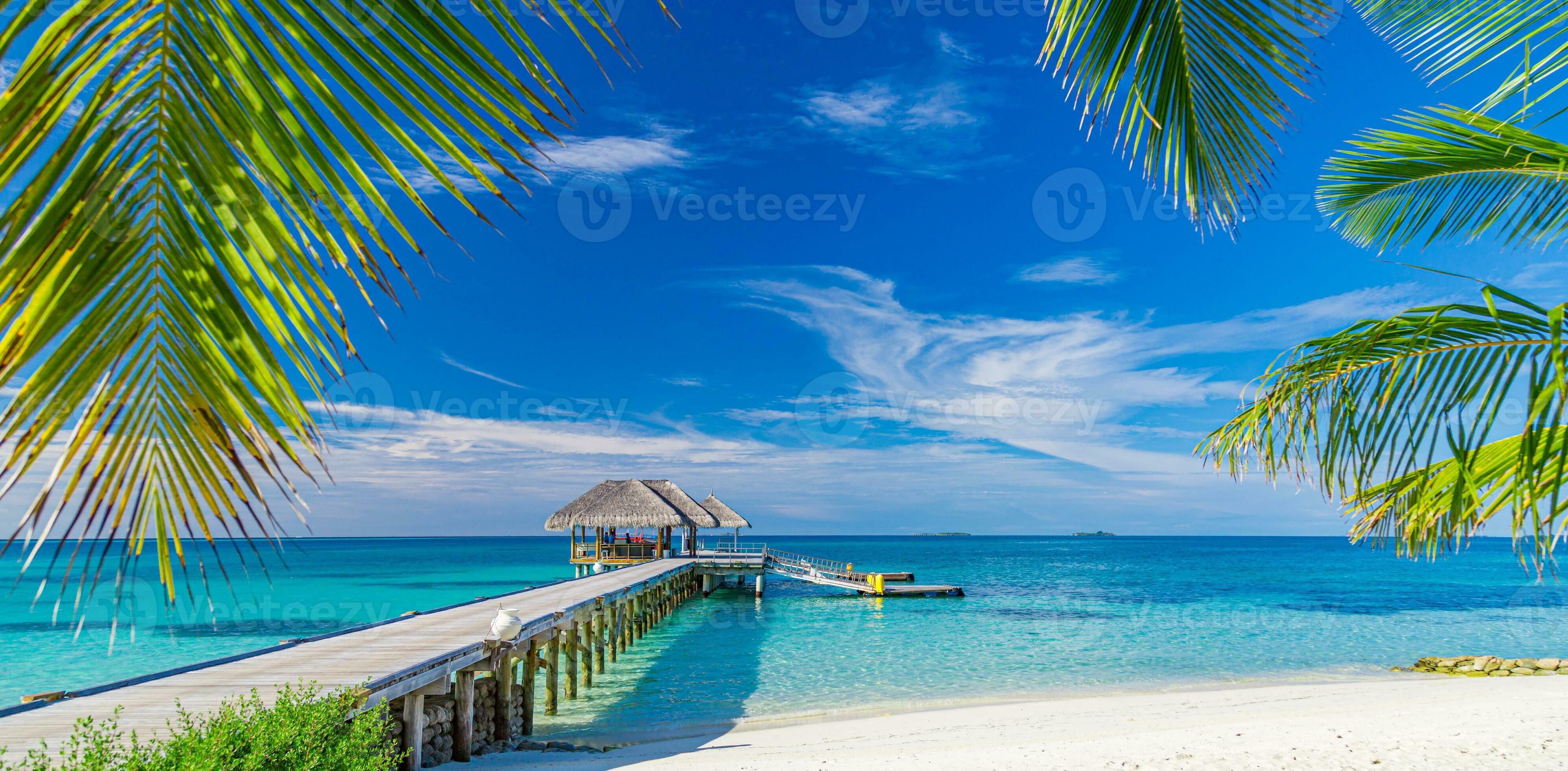 Paradise tropical beach with crystal clear water and palm trees representing dream vacation destinations