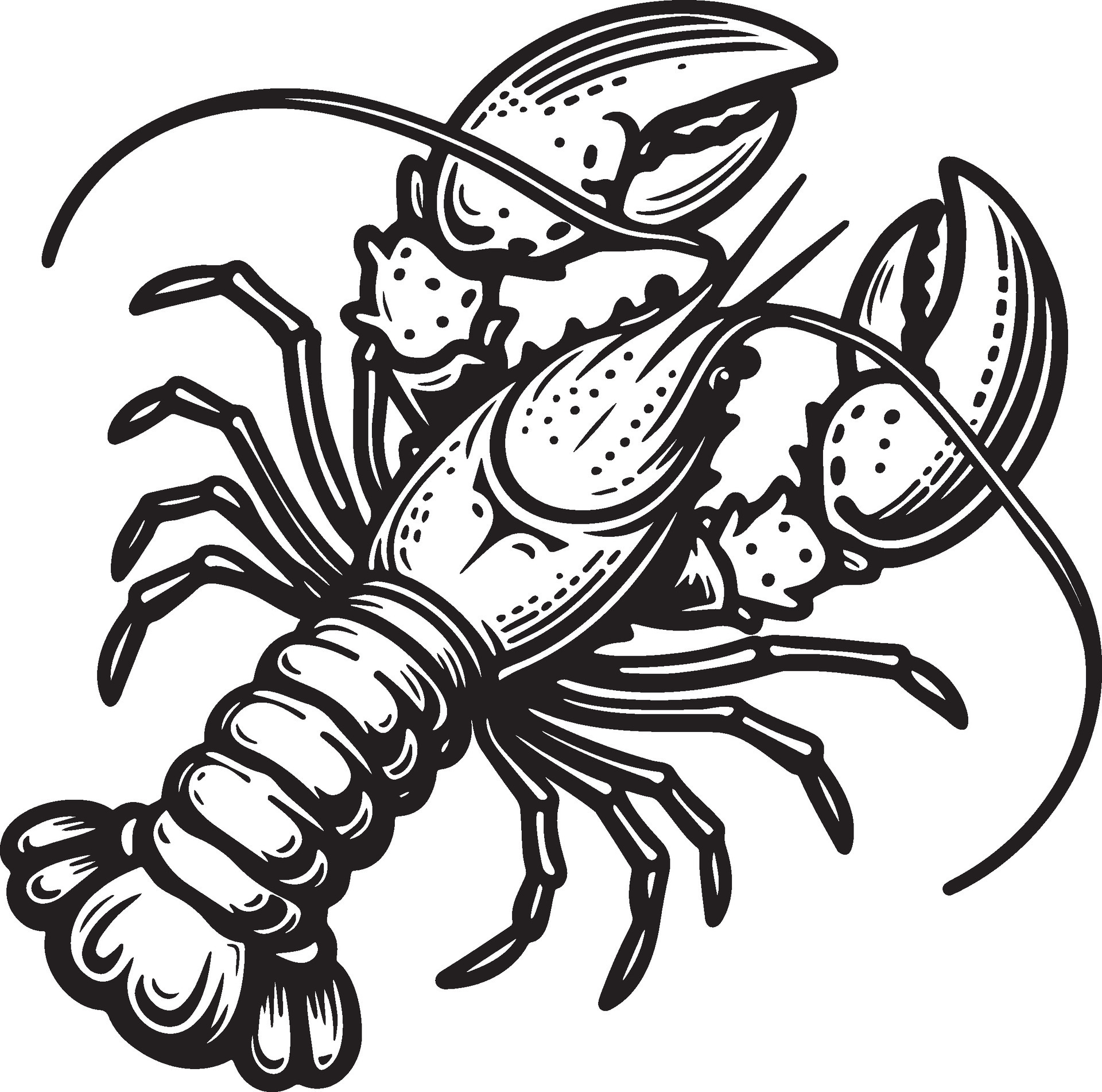 Lobster Sketch Drawing. 35591863 Vector Art at Vecteezy