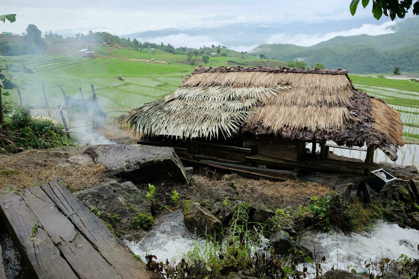 Local hut and homestay village on terraced Paddy rice fields on mountain in the countryside, Chiangmai Province of Thailand. Travel in greenery tropical rainy season concept photo