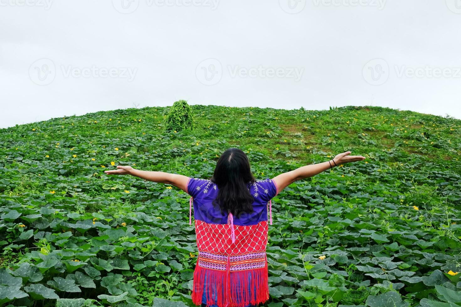 Asian woman wearing hill tribe clothing is spreading arms in pumpkins agriculture farm on mountain for freedom life in Chiangmai Province, Thailand. People for travel in greenery tropical rainy season photo