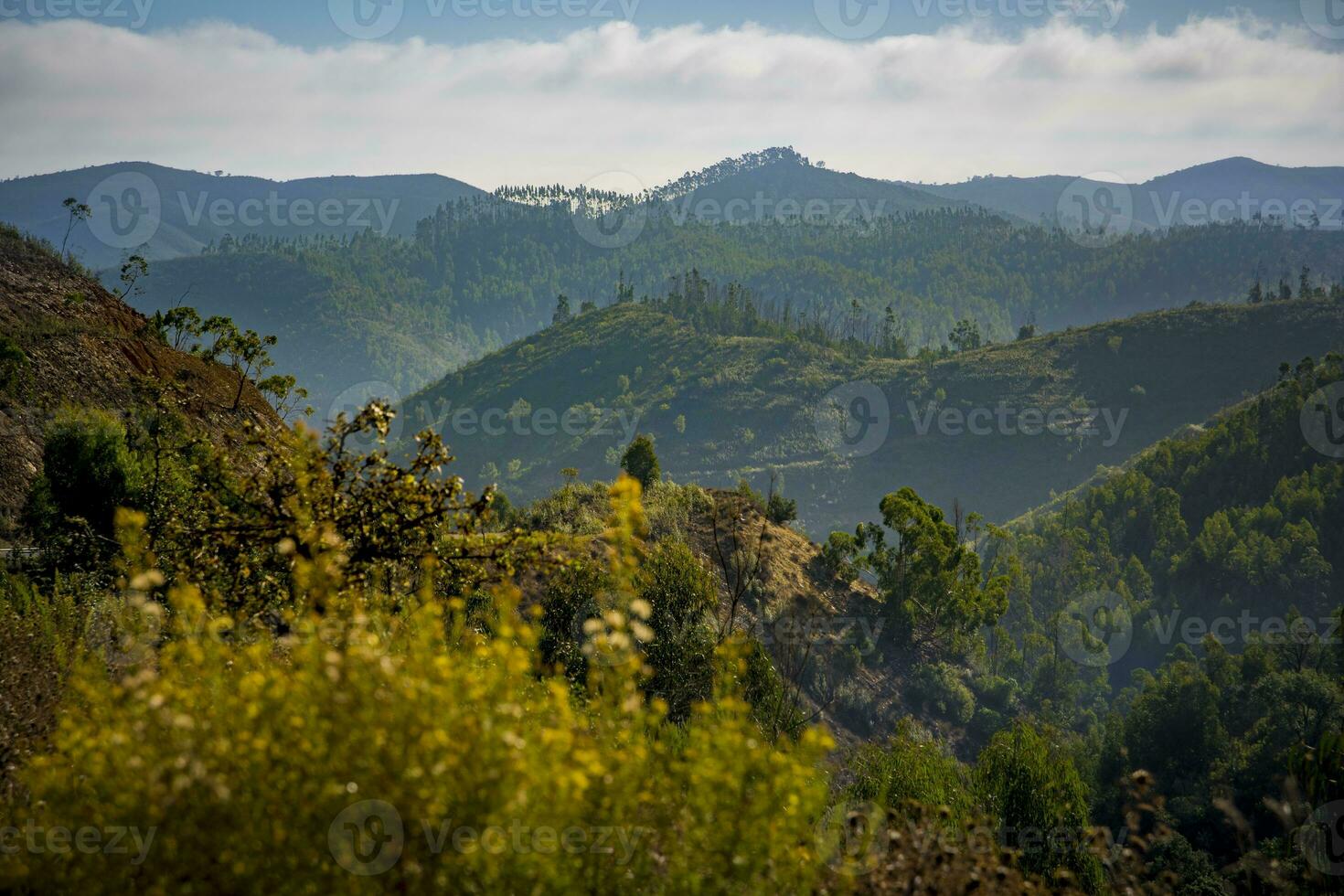 Mountain view over the Algarve in Portugal on the road between Monchique and Alferce photo
