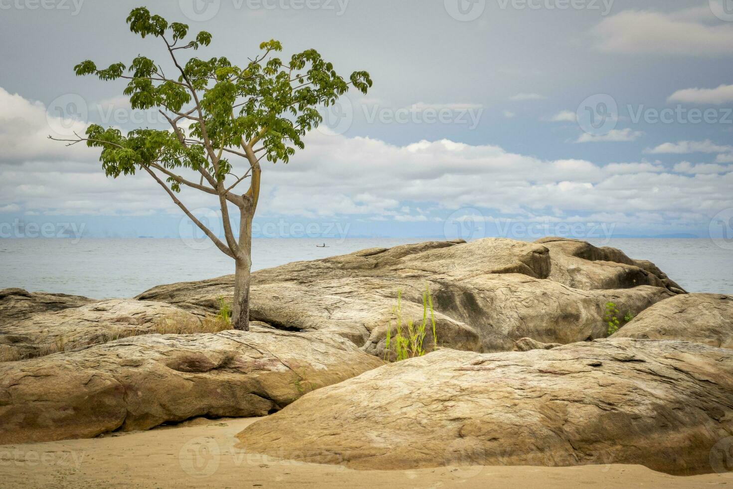 Lake Malawi beach view in Chinteche with trees and rock in foreground photo