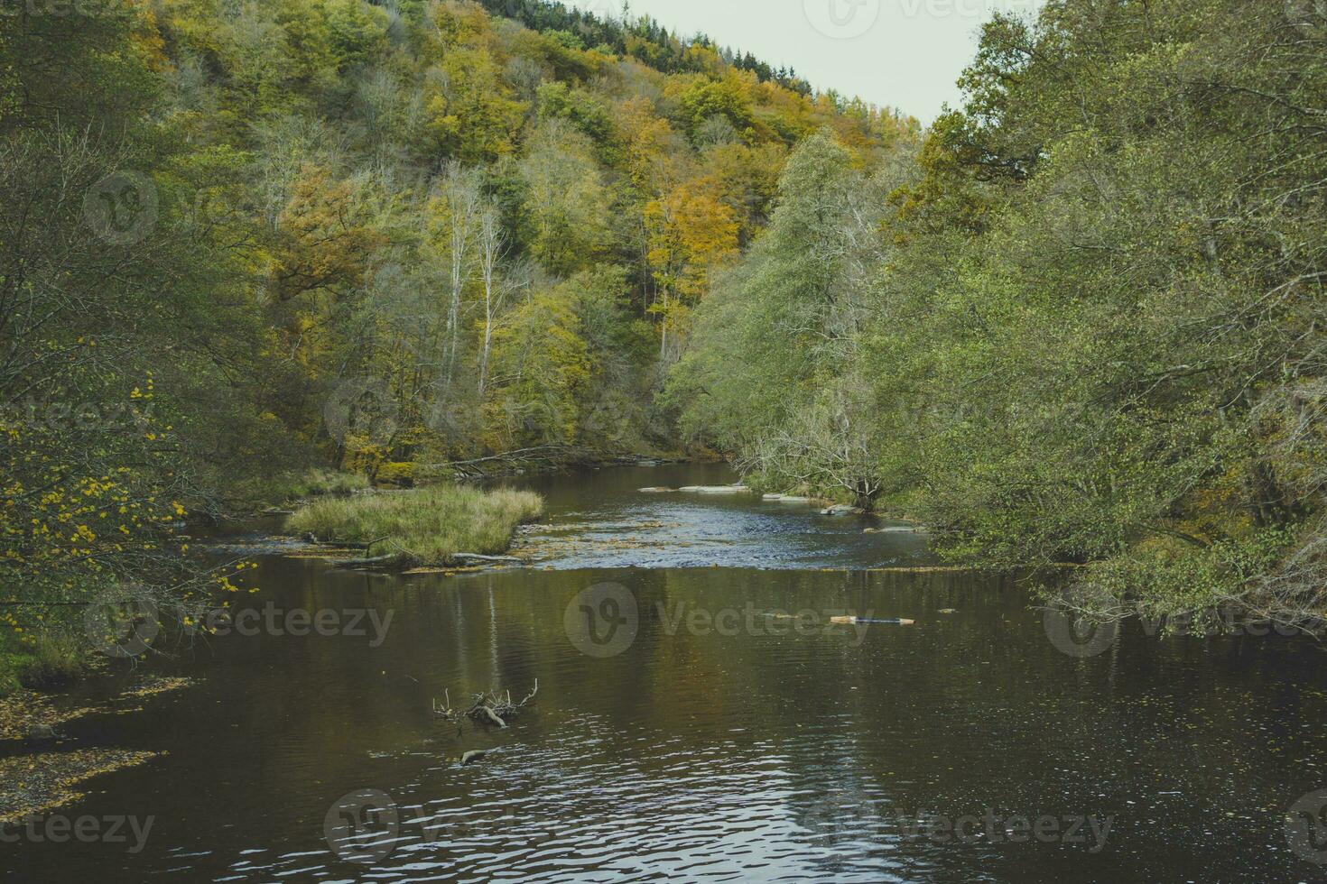 View on the river Ourthe in the Belgian national park Two Ourthes in the Ardennes of Wallonia, Belgium during autumn photo