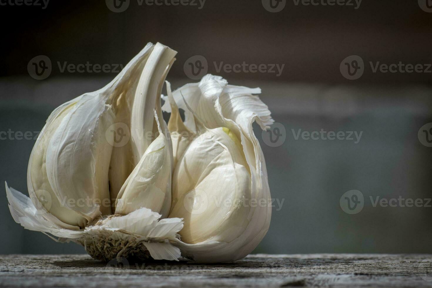 Close-up of Garlic, Allium sativum, used for food flavoring photo