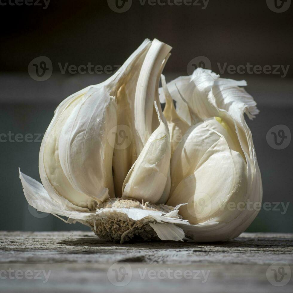 Close-up of Garlic, Allium sativum, used for food flavoring photo