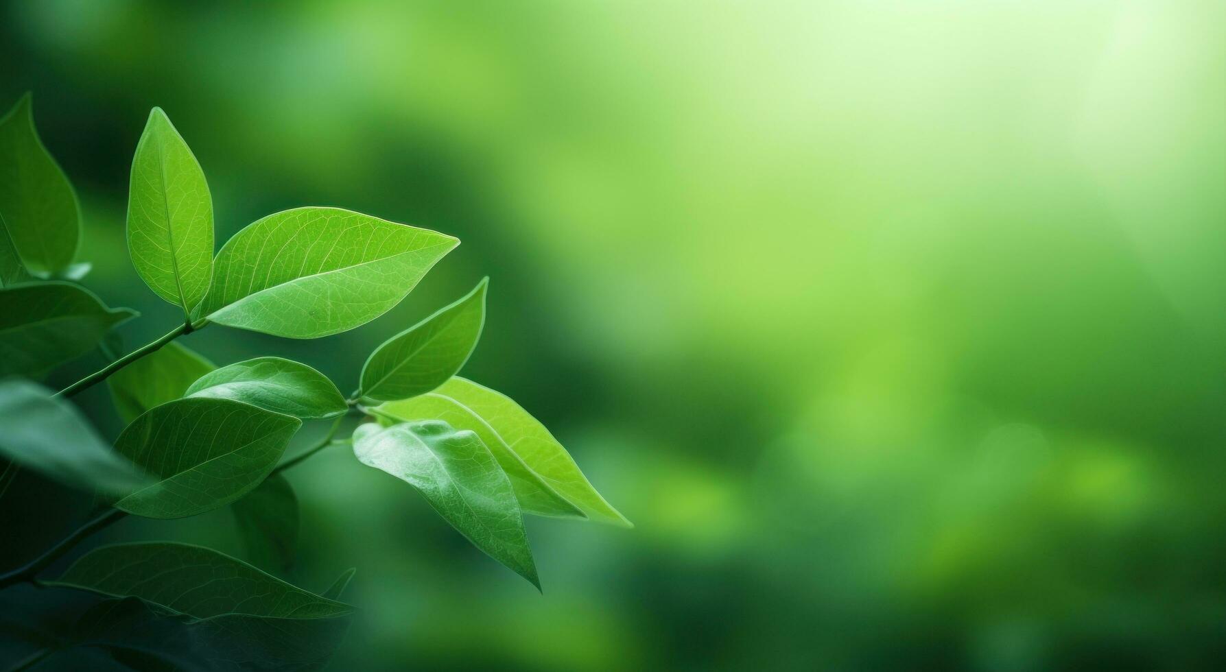 AI generated green branches on the leafy branches with sunlight. photo