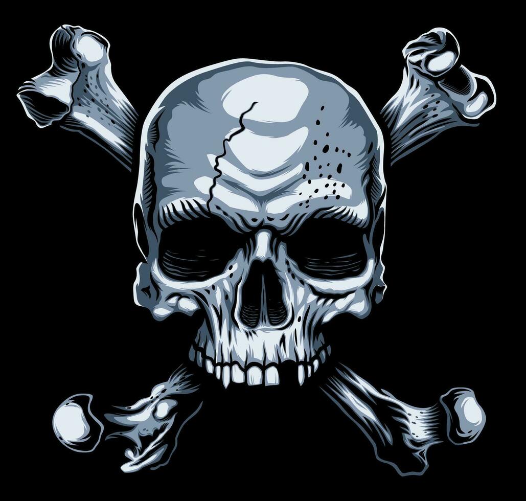 Skull and Bones vector