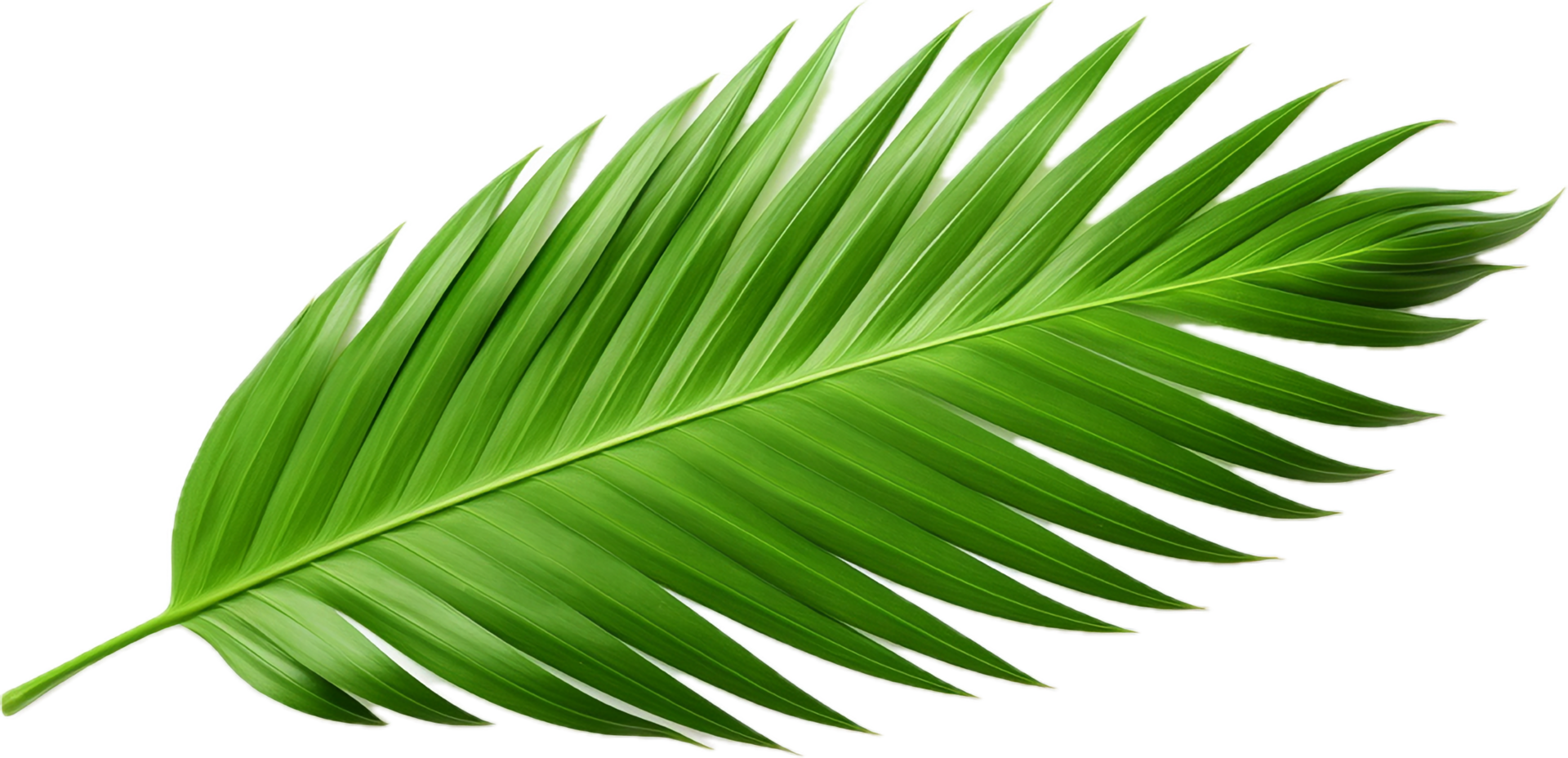 AI generated green palm tree png