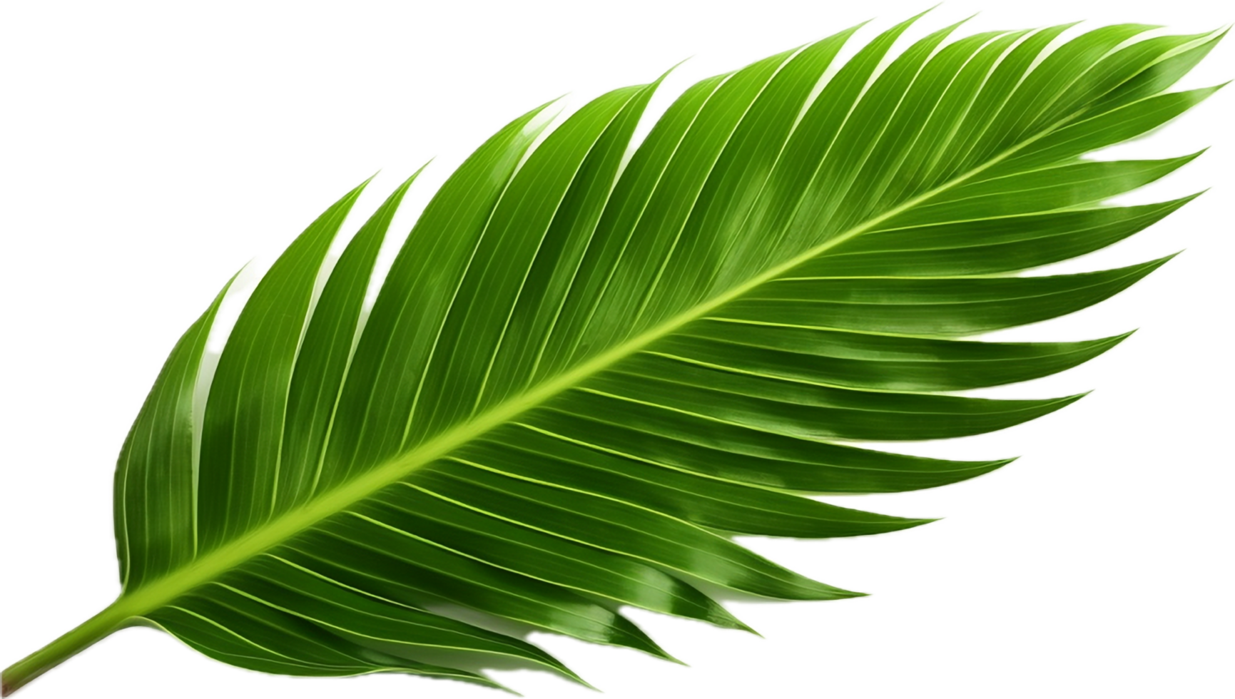 AI generated green palm tree png