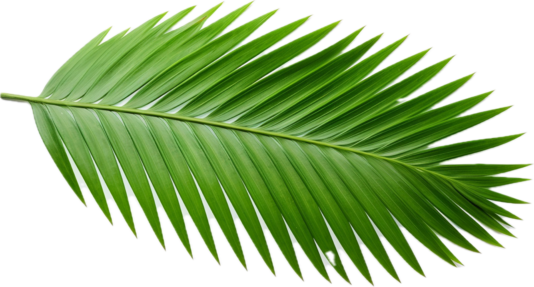 AI generated green palm tree png