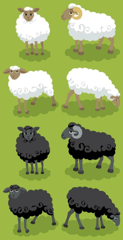 Sheep Cartoon Set vector