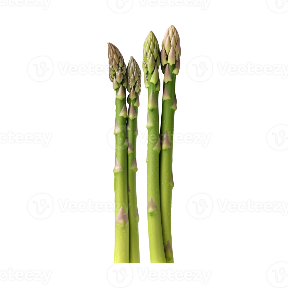 AI generated Fresh asparagus vegetable on transparent backgroun png