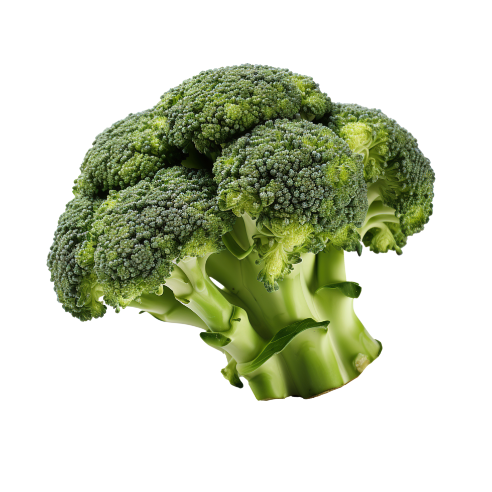 AI generated Fresh broccoli on transparent background png