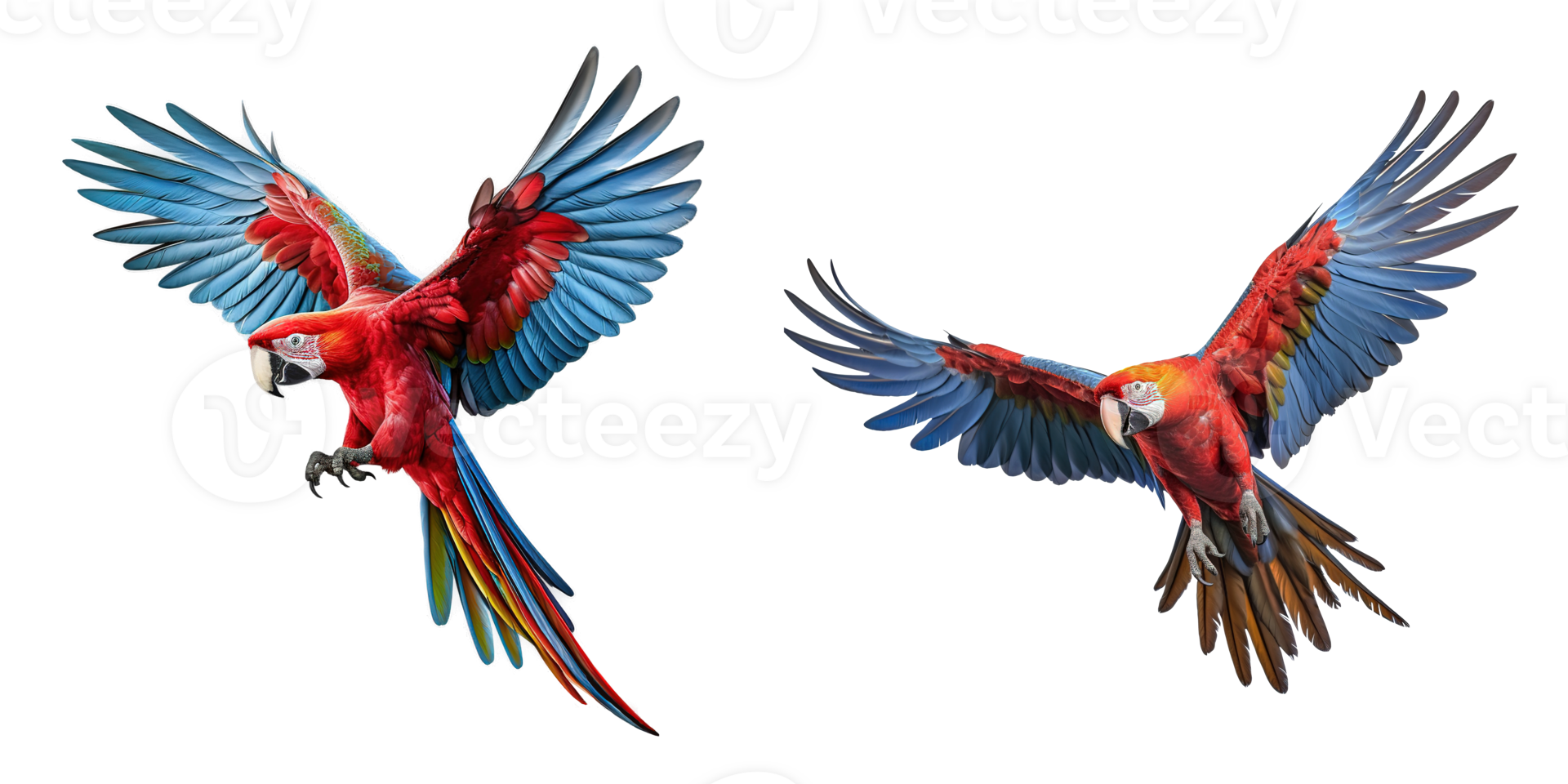 AI generated Scarlet macaw parrot flying isolated on transparent background png