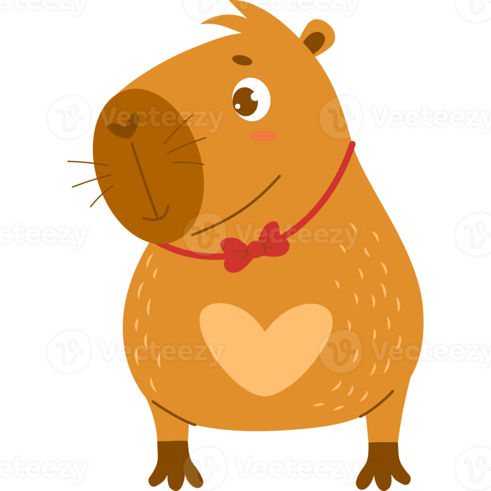 Cute capybara Boy png
