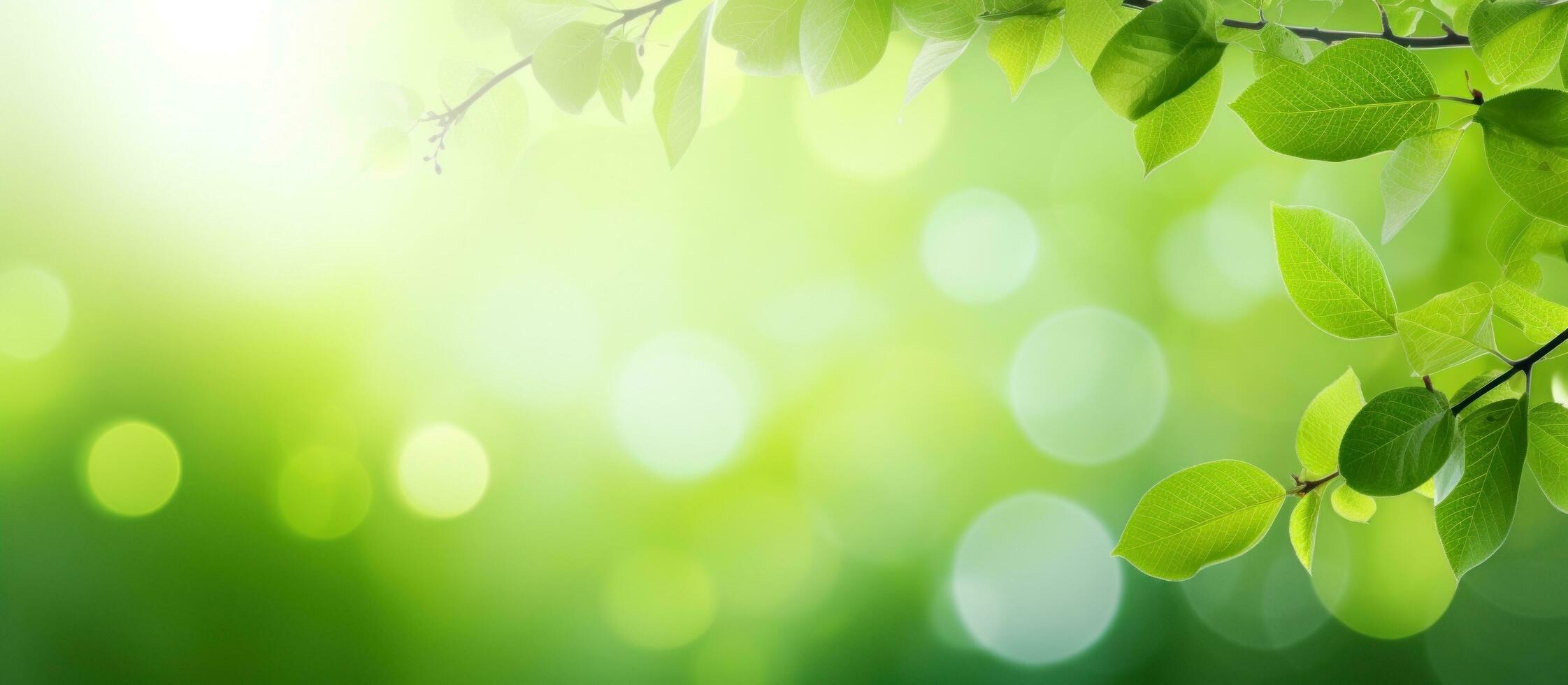 AI generated green branches on the leafy branches with sunlight. photo