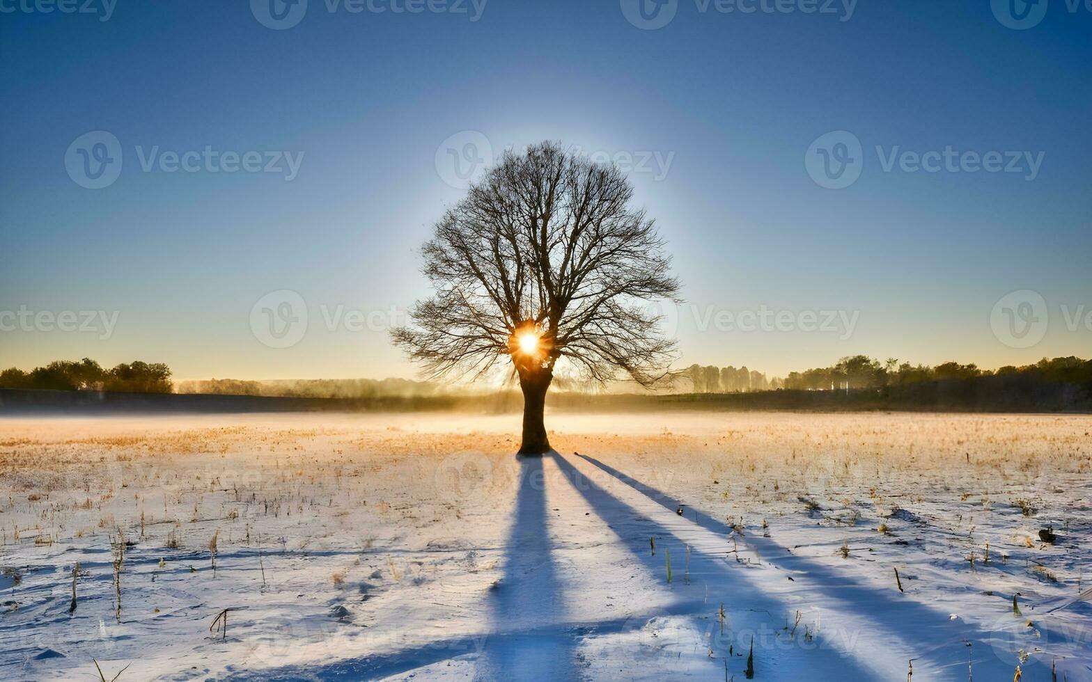 ai generado sereno soledad, majestuoso solitario árbol en un cobija de Nevado esplendor foto