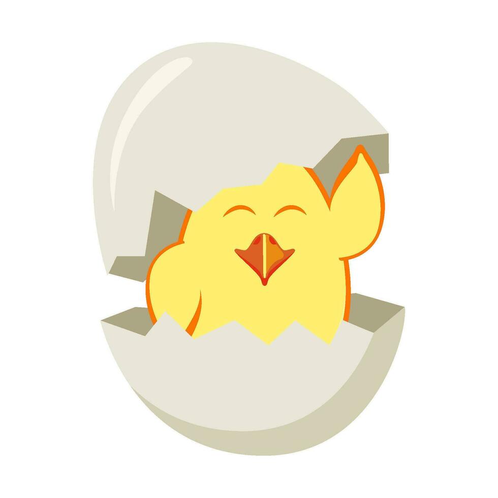 A cute little cartoon chick hatched from an egg. vector