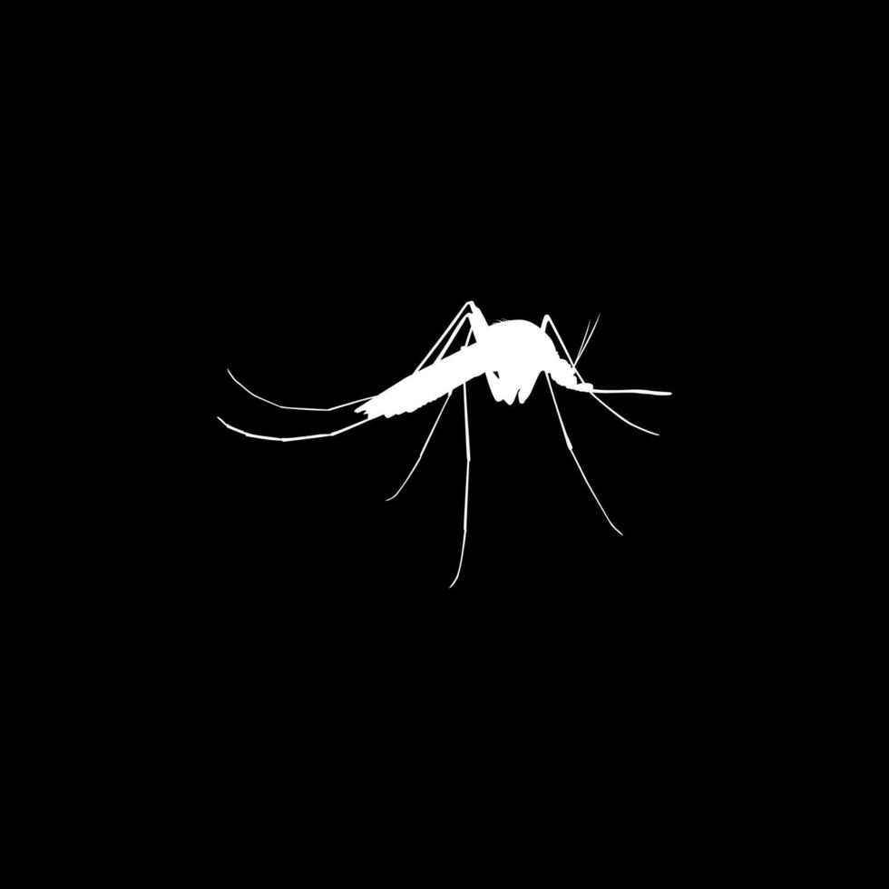 mosquito silueta, lata utilizar para Arte ilustración pictograma, sitio web, y gráfico diseño elemento. vector ilustración