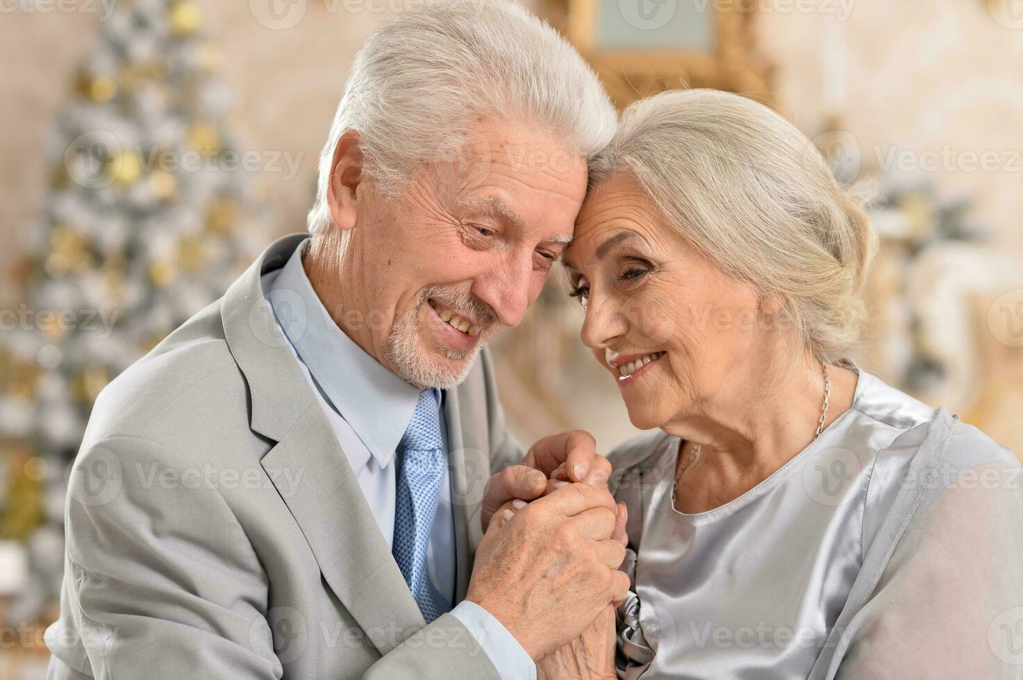 Hugging senior couple smile on blurred background photo