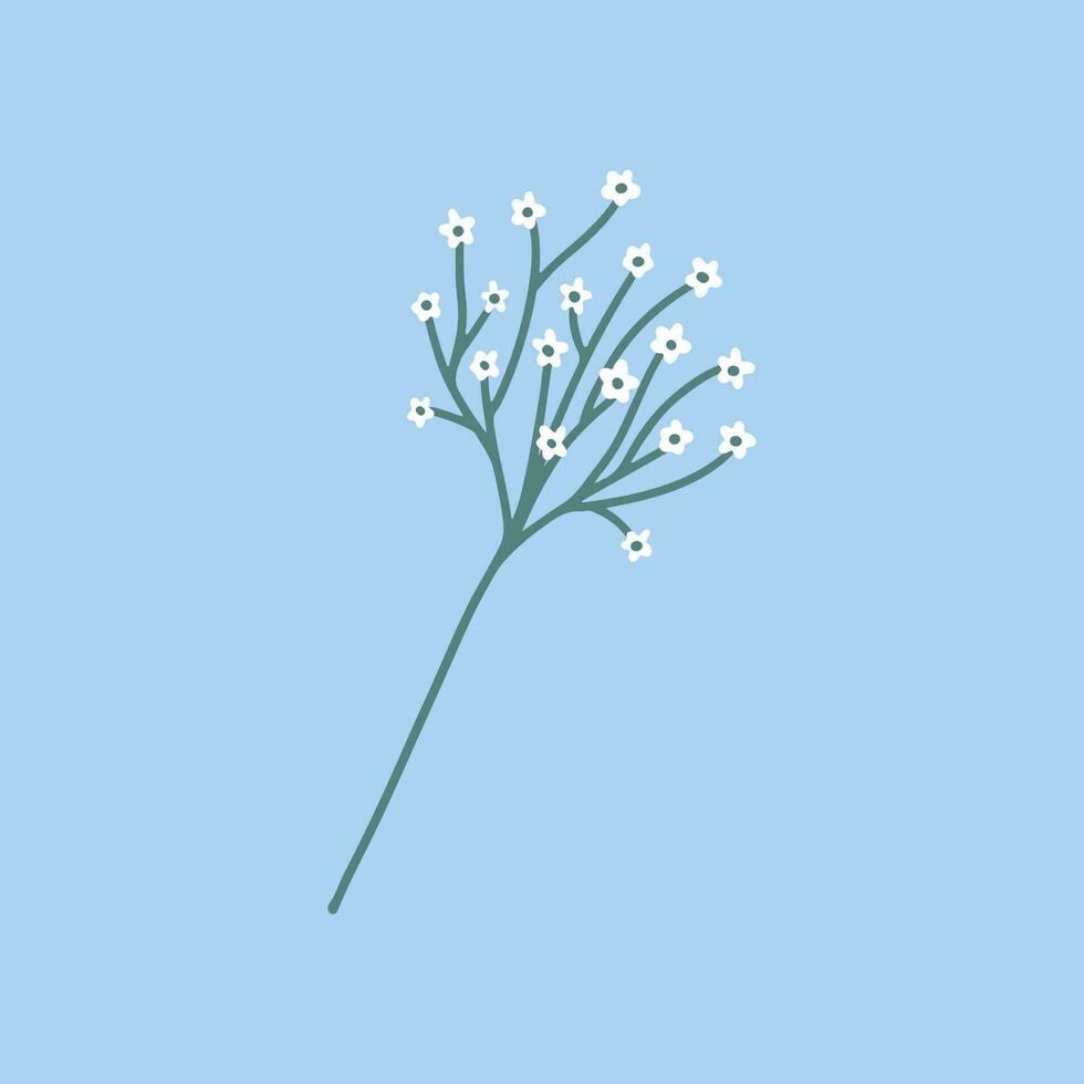 Limonium, wedding grass dried flower. Delicate elegant floral dried flower for invitation. Hand drawn dried flower for wedding invitations, greeting cards, blogs, posters. Use dried flower in design vector